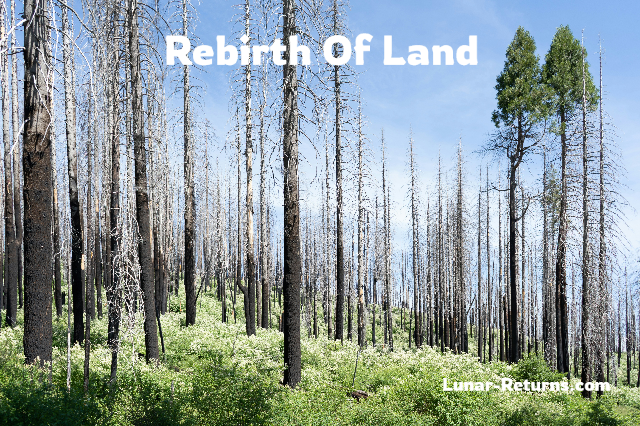 rebirth of land